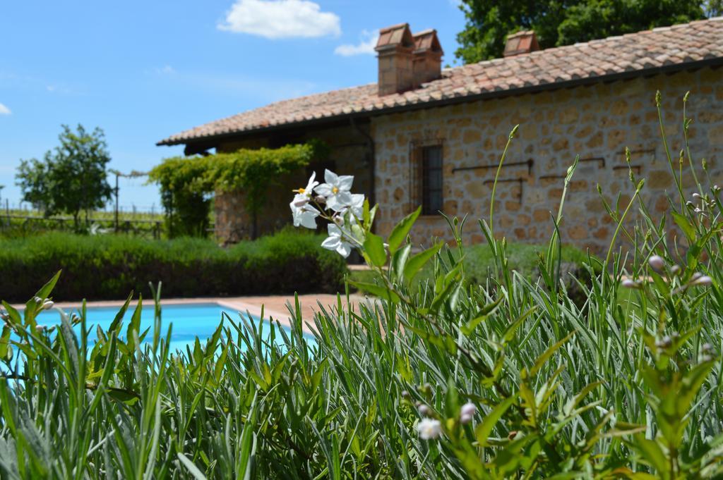 Agriturismo Eco-Bio Villa Vacasio Питильяно Экстерьер фото