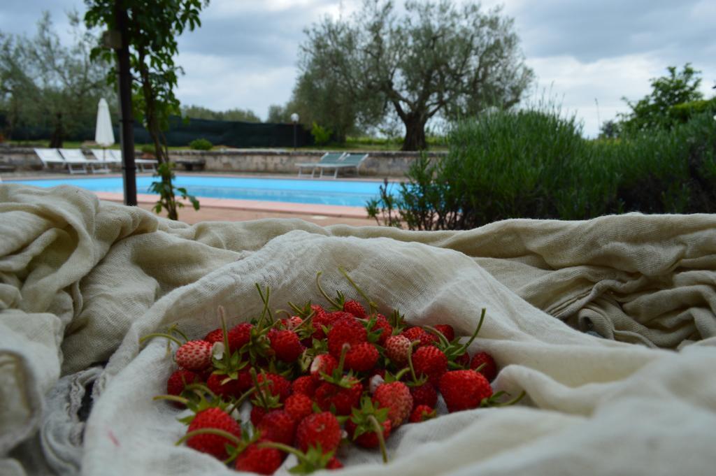 Agriturismo Eco-Bio Villa Vacasio Питильяно Экстерьер фото